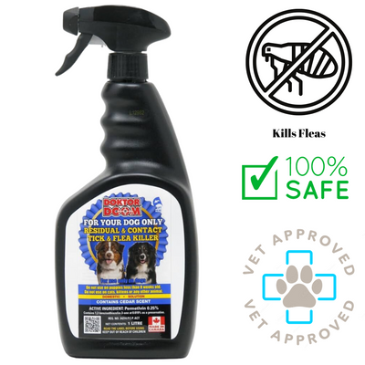 Doktor Doom flea spray for dog in black spray bottle with tick and flea killer label and safety icons