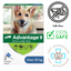 Advantage II flea and tick treatment for extra large dogs with image of German Shepherd and vet approved label