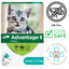 Advantage II flea and tick treatment for kittens box with gray tabby kitten on front and safety icons