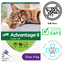 Advantage II flea medicine for cats over 4kg box with image of a large tabby cat and vet approved icons