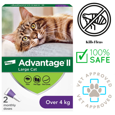 Advantage II flea medicine for cats over 4kg box with image of a large tabby cat and vet approved icons