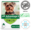 Advantage II flea medicine for small dogs with packaging showing a small dog and monthly doses for under 4.5 kg