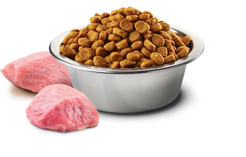Farmina lamb and blueberry dog food in a silver bowl with kibble and fresh lamb chunks