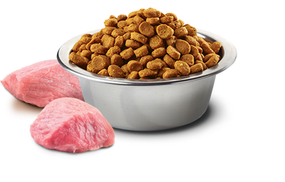 Farmina lamb and blueberry dog food in a silver bowl with kibble and fresh lamb chunks