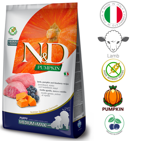 Farmina lamb and blueberry puppy food in a bag featuring pumpkin, lamb, and blueberries for balanced nutrition