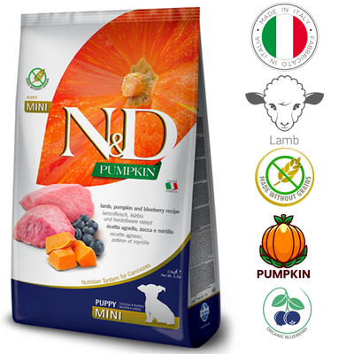 Farmina pumpkin lamb mini puppy food with lamb, pumpkin, and blueberry recipe for healthy growth