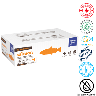 Healthy Paws salmon dinner dog raw food big box with natural balance and fish oil