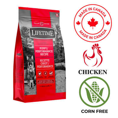Lifetime all life puppy performance dog food with chicken recipe made in Canada and corn free