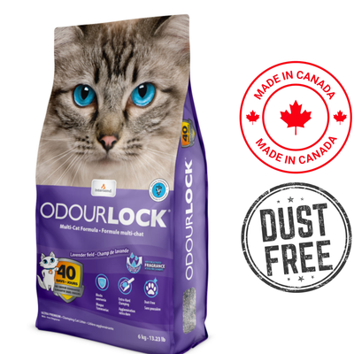 OdourLock Lavender Cat Litter in a 6.5 kg bag, dust-free formula for effective odour control