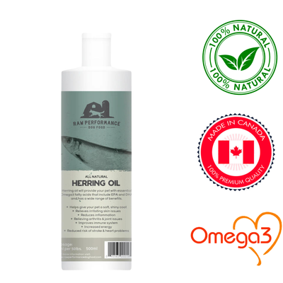 Raw Performance Herring Oil for dogs in a 500ml bottle, promoting shiny coats and healthy skin