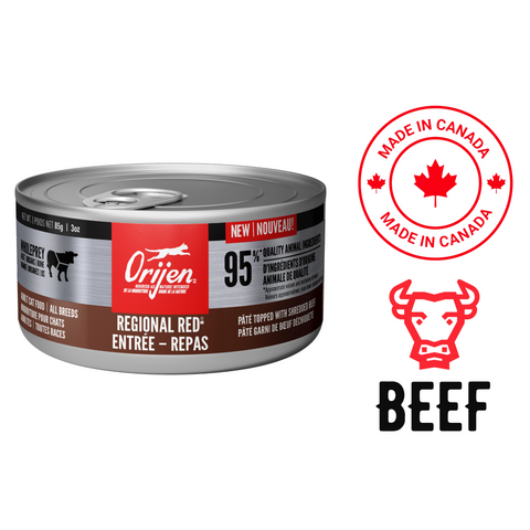 Orijen regional red entree canned cat food with 95 percent quality animal ingredients made in Canada beef