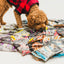 Dog exploring various packs of oven baked adult small breed lamb dog food on the floor