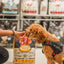 Oven Baked Tradition oven baked senior chicken dog food bag with a curly brown dog wearing a harness