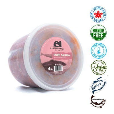 Raw Performance - Nourriture crue pour chiens au saumon pur - 1 lb, 2 lb, 4 lb