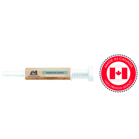 Raw Performance digestive paste for dogs in a syringe-style tube with made in Canada premium quality label