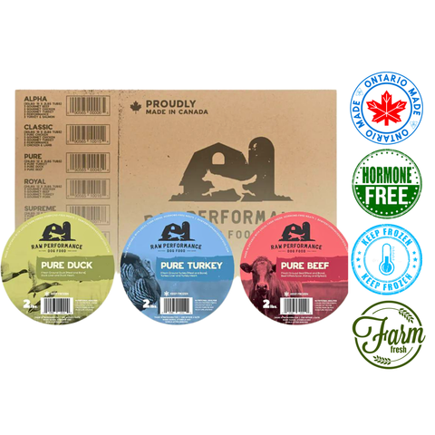 Raw Performance pure raw dog food in three flavors: duck, turkey, and beef, frozen for freshness