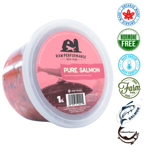 Raw Performance Pure Salmon Raw Dog Food in 1 lb tub, made from fresh ground salmon and hormone-free