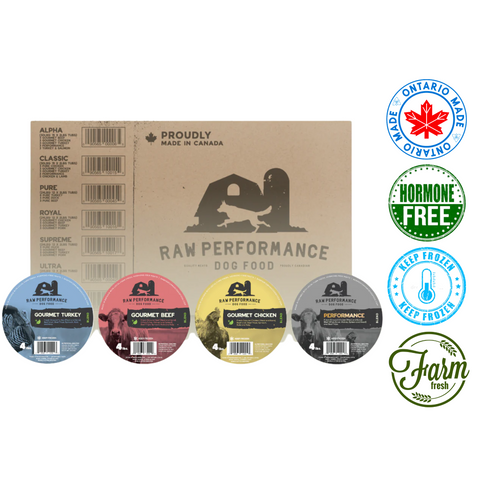 Raw Performance Dog Food Bulk Packaging with Gourmet Beef, Turkey, and Chicken Flavor Options