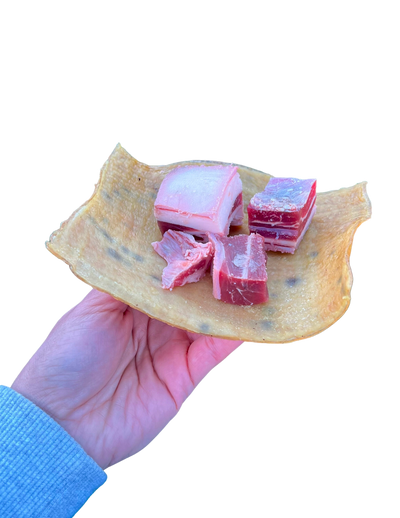 Hand holding real dog box pig skin dog treats with several pieces of pig skin on a flat chew