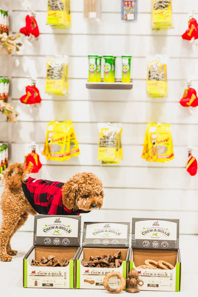 RedBarn hydrant dog treats medium displayed in open boxes with a curly brown dog wearing a red and black plaid jacket