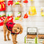 Curly brown dog wearing red plaid jacket next to boxes of RedBarn medium chew brush dog treat in pet store