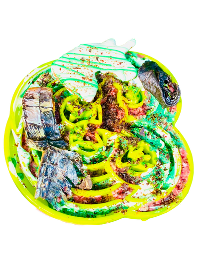 Rover Pet Crocodile Chips for Dogs in a Colorful Display of Tasty Treats