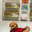 Curly brown dog wearing a sharper barker lightweight dog hoodie in red and black plaid lying on floor indoors
