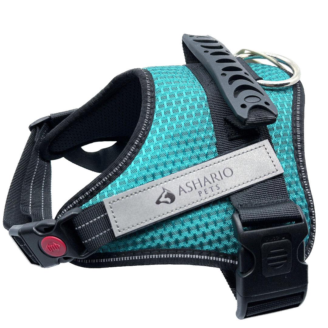 Durable green dog harness, featuring breathable mesh and reflective elements, ensures safety and comfort during outdoor activities.