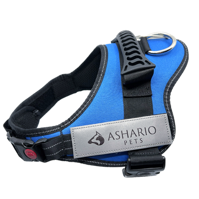 Ashario Pets TactiHarness Lite Reflective No-Pull Design Harness in Blue, lightweight harness leash with no-pull feature and adjustable padding