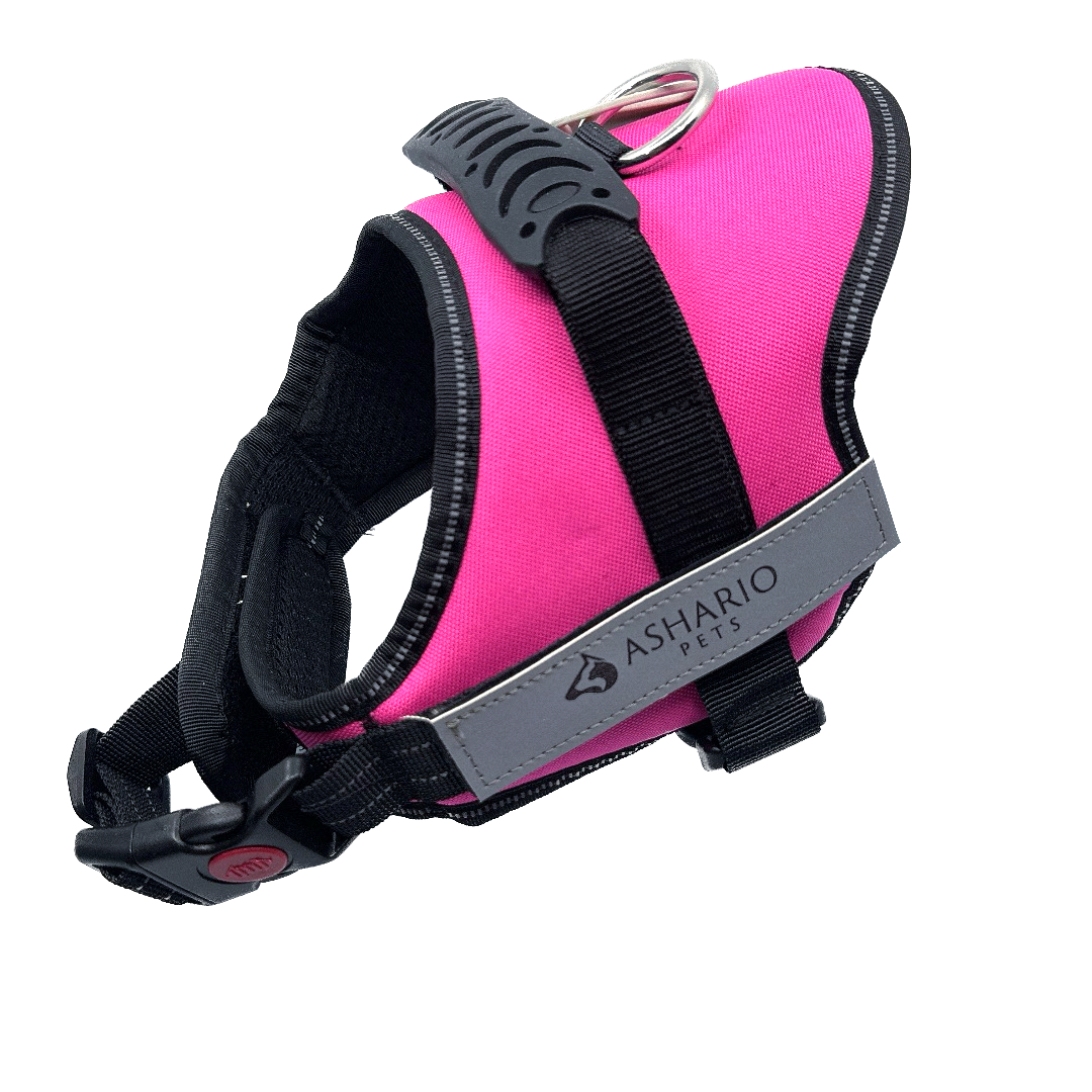 Sturdy pink dog harness, featuring breathable mesh and reflective elements, ensures secure and comfortable outdoor activities for dogs.