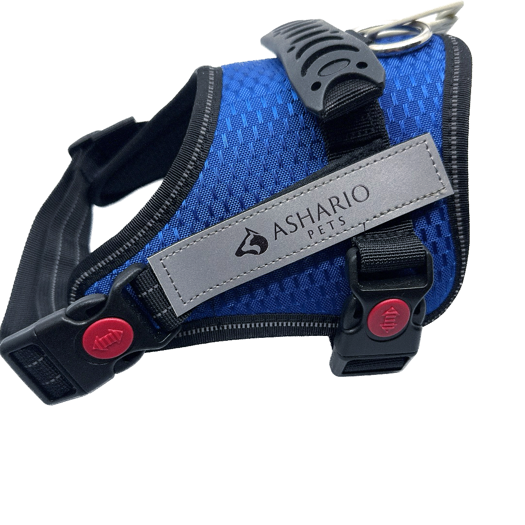 "Ashario Pets TactiHarness Lite Reflective No-Pull Design Harness - Blue, M, lightweight harness leash with no-pull feature and adjustable soft padding"