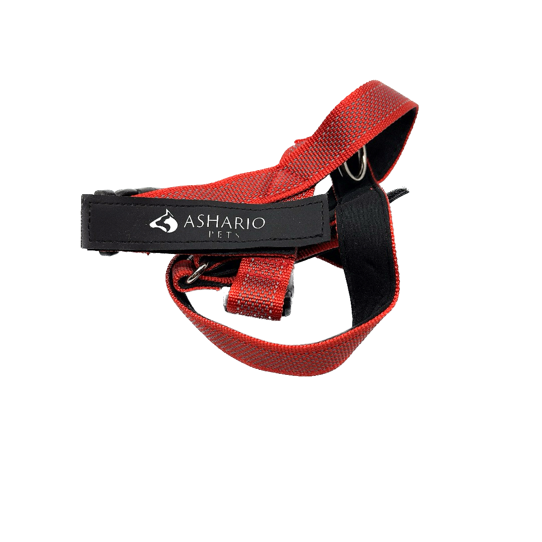 Ashario Pets red harness for pet store use, providing an adjustable and comfortable fit for dogs.