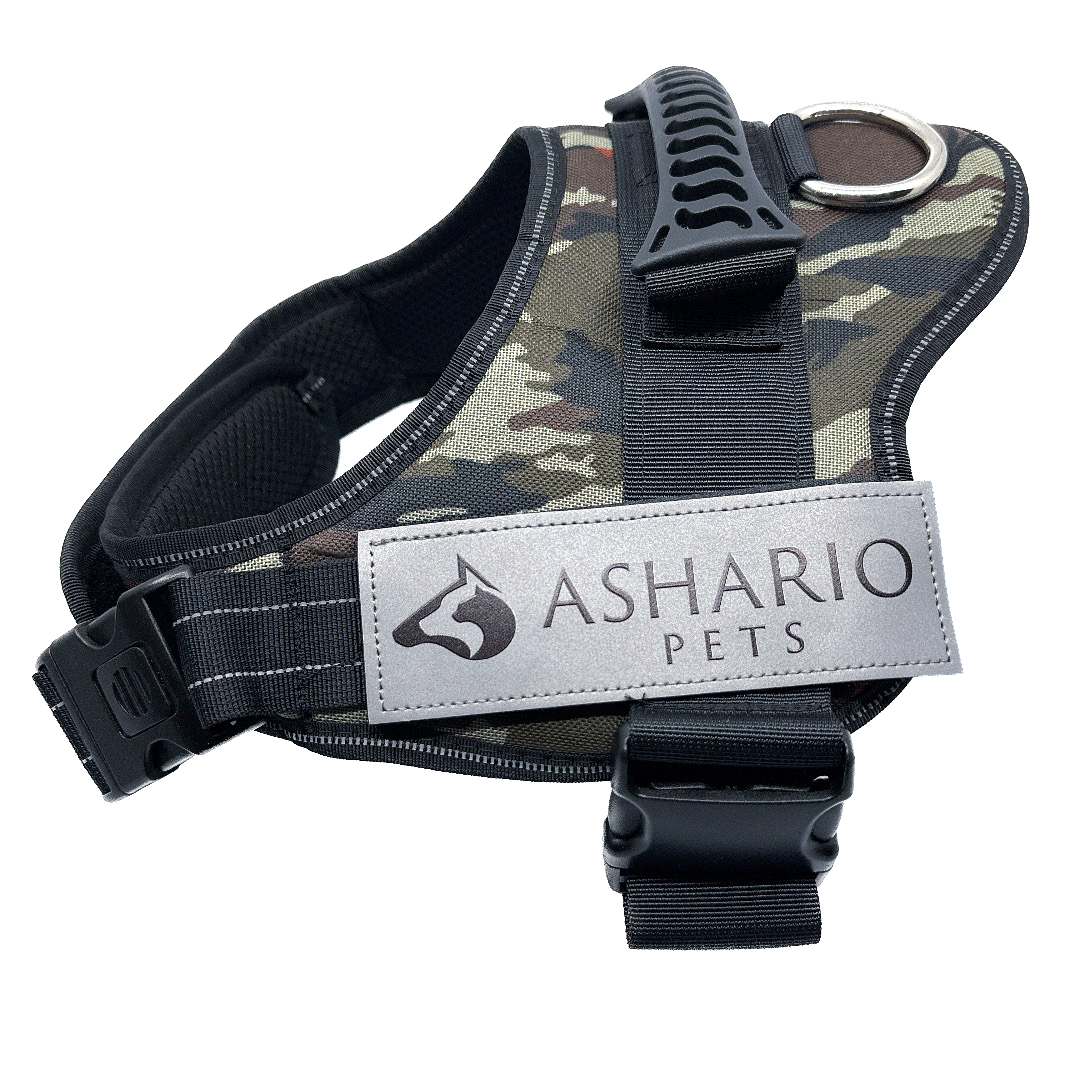 Black dog harness with "Ashario Pets" label, designed for safety and comfort, reflective straps and adjustable fit, suitable for daily walks and outdoor adventures.