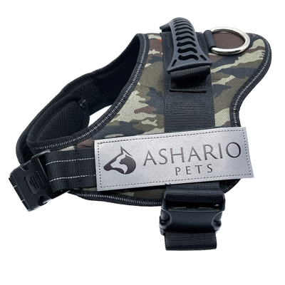 Black dog harness with "Ashario Pets" label, designed for safety and comfort, reflective straps and adjustable fit, suitable for daily walks and outdoor adventures.