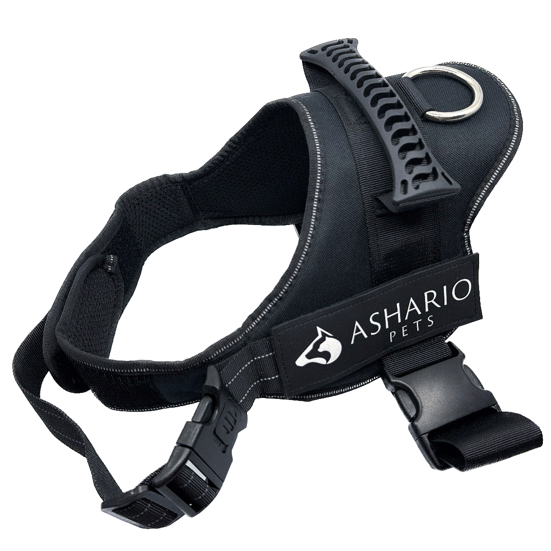 Black dog harness with an "ASHARIO" label, designed for safety and comfort, reflective straps and adjustable fit, suitable for daily walks.