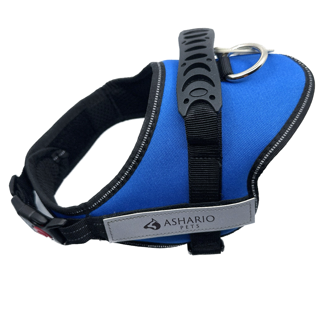 Blue dog harness with reflective straps, designed for secure and comfortable walks, adjustable fit for dogs of all sizes.