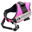 Bright pink dog harness with reflective straps, designed for safety and comfort during walks, adjustable fit suitable for all dog sizes.