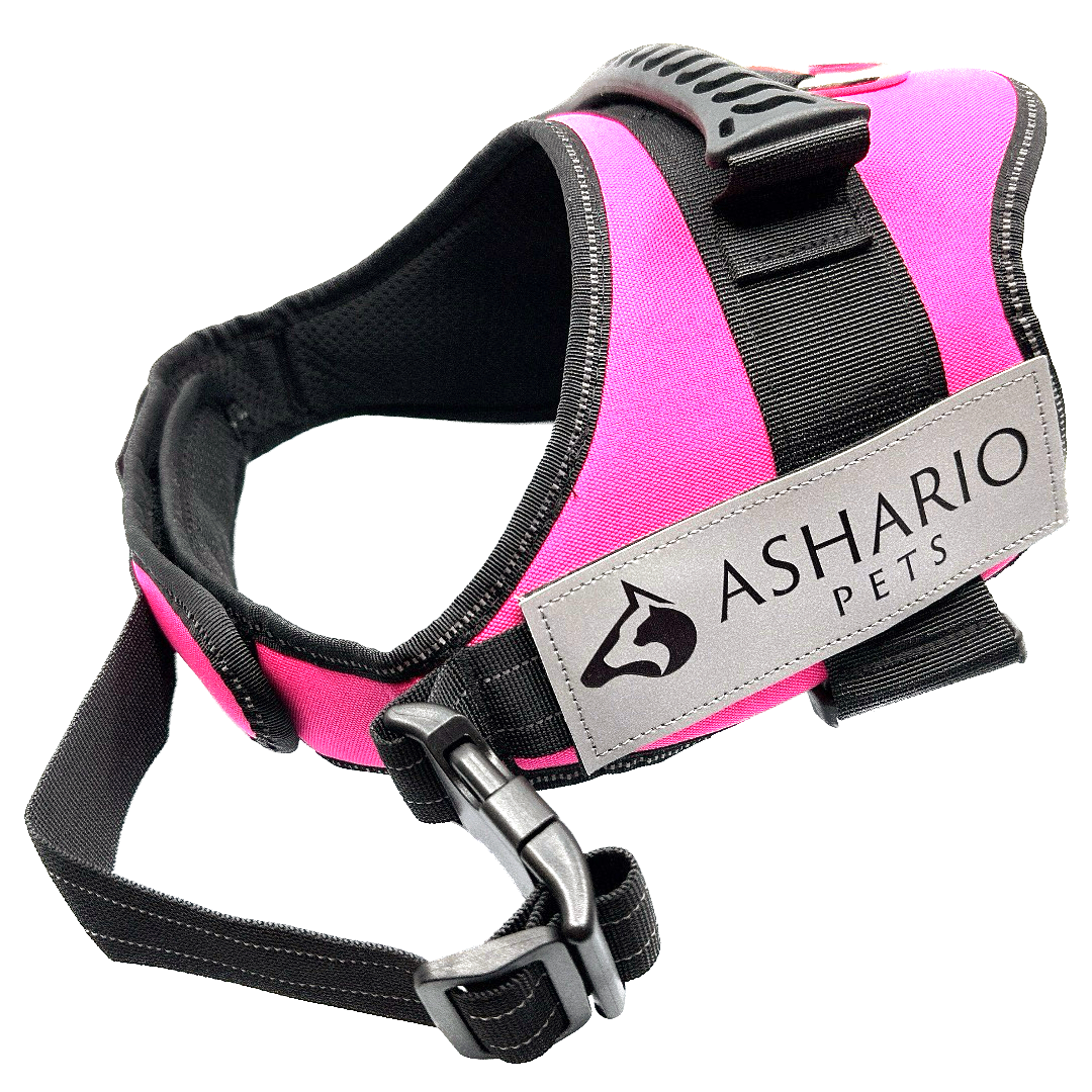 Bright pink dog harness with reflective straps, designed for safety and comfort during walks, adjustable fit suitable for all dog sizes.