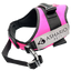 Pink dog harness with an "ASHARIO" label, designed for safety and comfort, reflective straps and adjustable fit, suitable for daily walks and outdoor adventures.