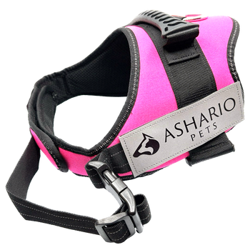 Pink dog harness with an "ASHARIO" label, designed for safety and comfort, reflective straps and adjustable fit, suitable for daily walks and outdoor adventures.