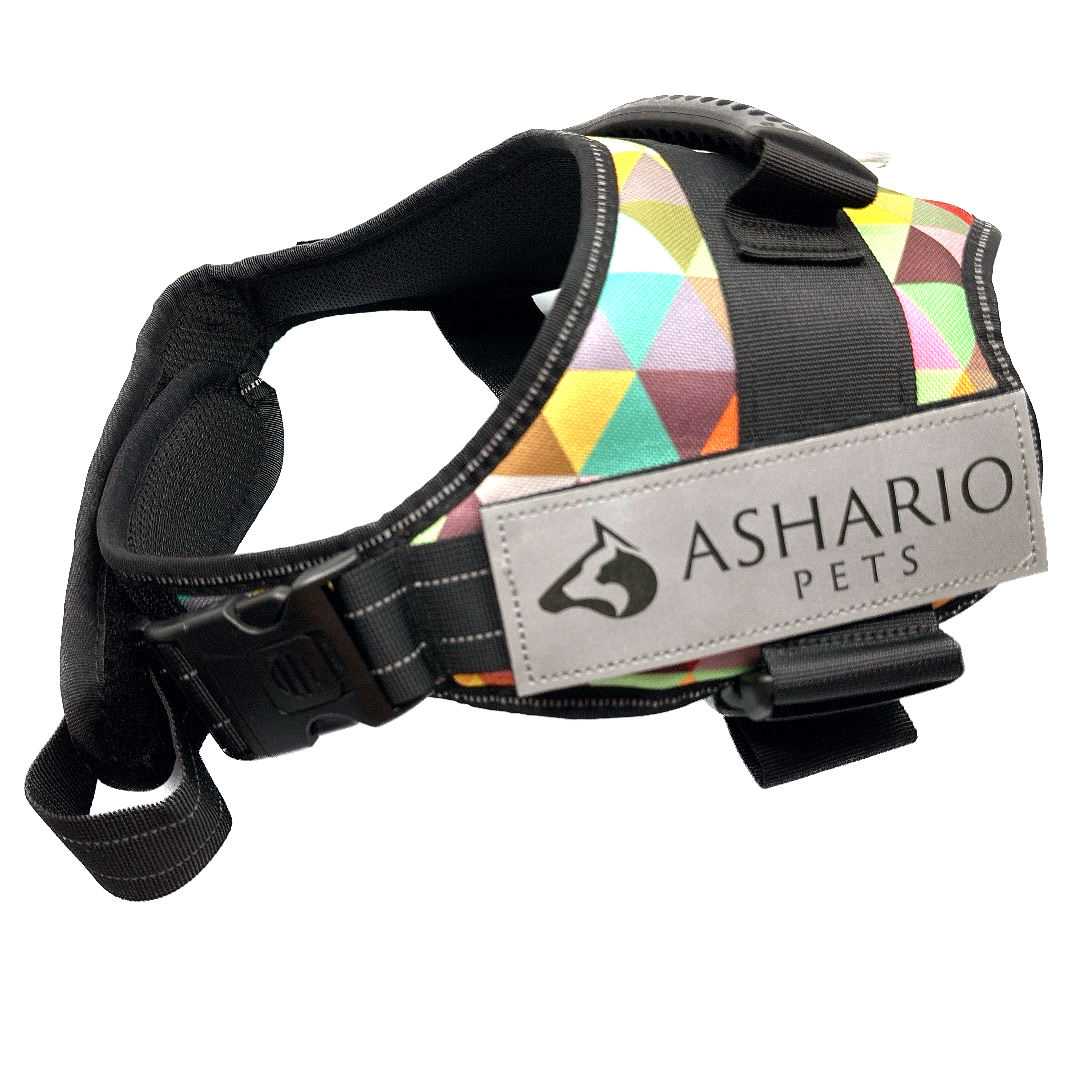 Bright and colorful dog harness, featuring breathable mesh and reflective elements, ensures safety and comfort during outdoor activities.