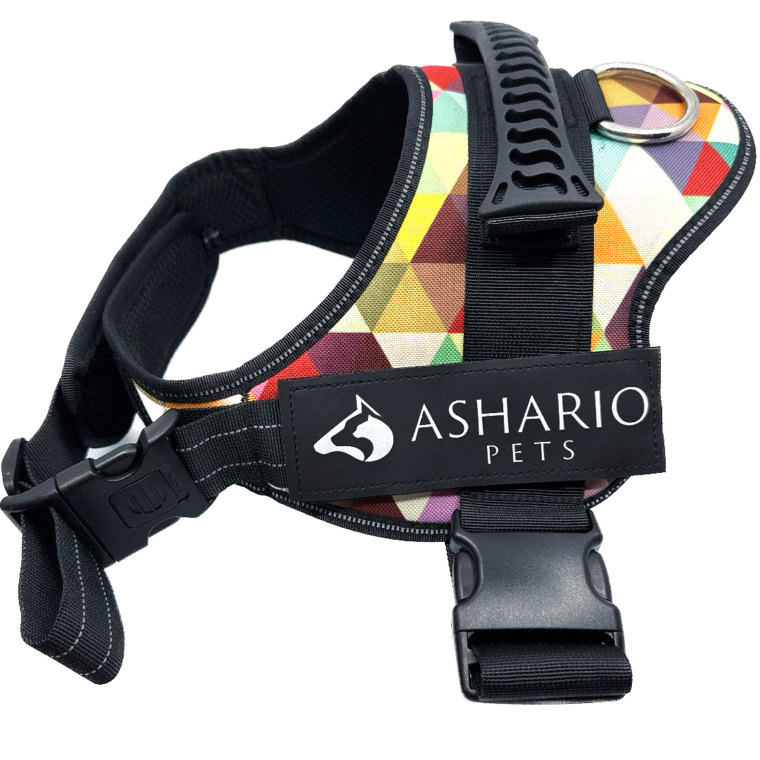 Colorful dog harness with reflective straps, designed for secure and comfortable walks, adjustable fit for dogs of various sizes.