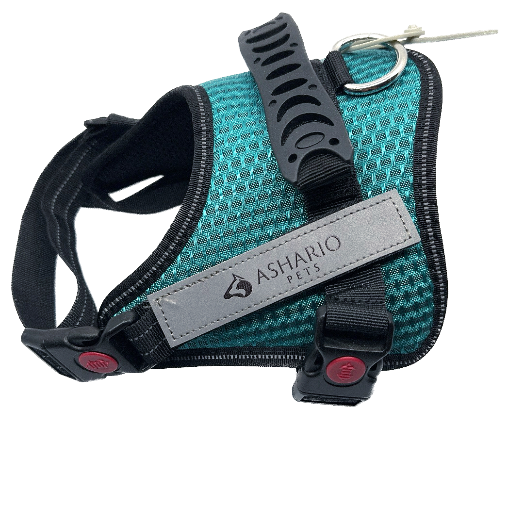 "Ashario Pets TactiHarness Lite Reflective No-Pull Design Harness in Teal Blue, lightweight and comfortable with no-pull design and adjustable padding"