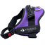 Sturdy purple dog harness, featuring breathable mesh and reflective elements, ensures safety and comfort during walks and adventures.