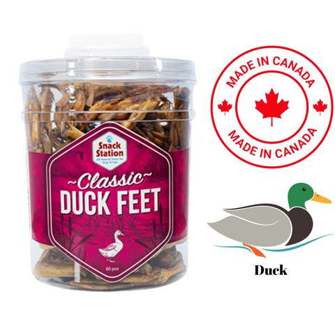 This & That classic duck feet dog treats jar with 60 pieces made in Canada for healthy dog snacks