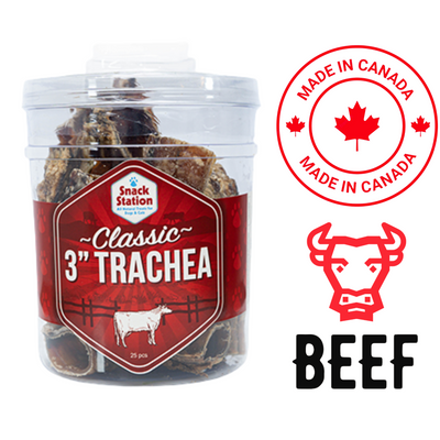 This & That classic beef trachea dog treats in clear container made in Canada with beef logo