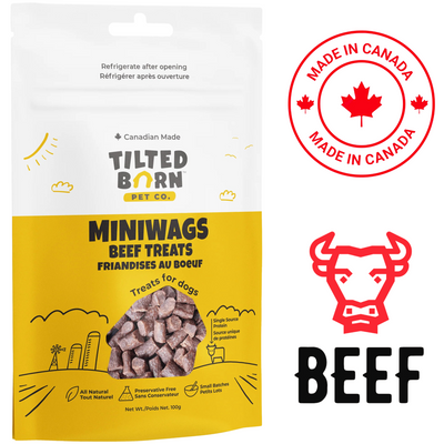 Tilted Barn beef MiniWags dog treats in a resealable bag made from all-natural ingredients