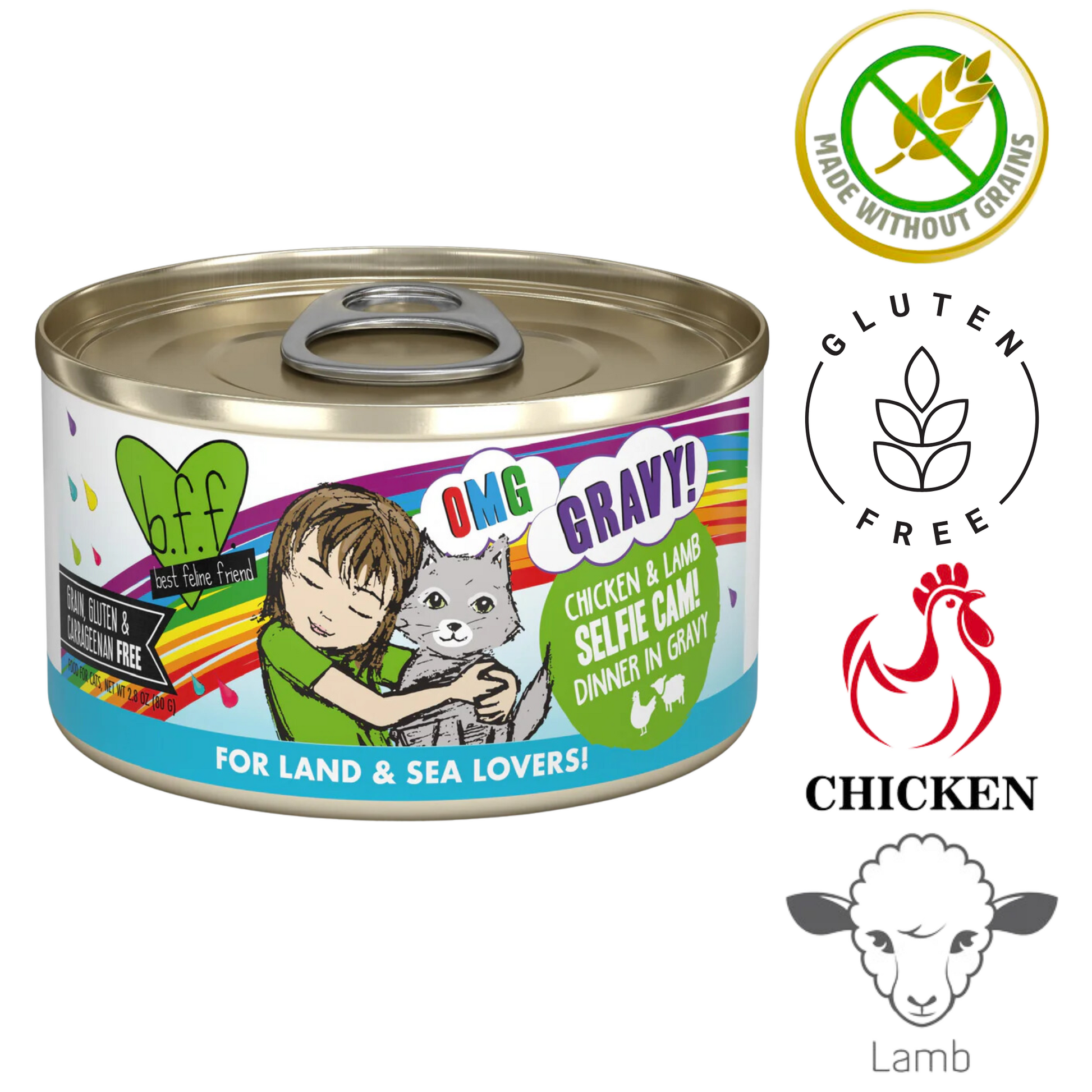 Weruva OMG selfie cam cat food chicken and lamb dinner in gravy gluten free canned wet food