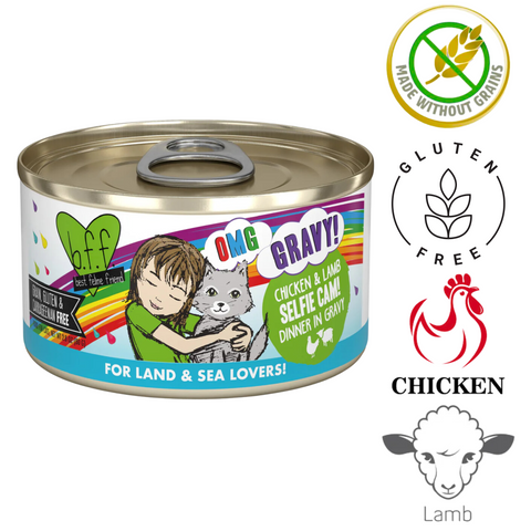 Weruva OMG selfie cam cat food chicken and lamb dinner in gravy gluten free canned wet food