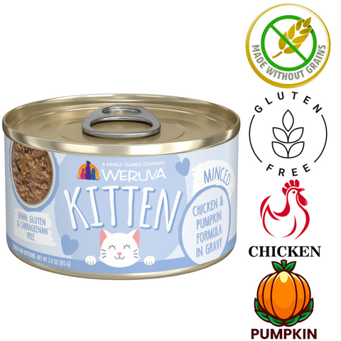Weruva chicken pumpkin kitten food canned wet cat food with minced chicken and pumpkin formula in gravy